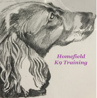 Homefield K9 Training